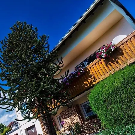 Grosse In Mensfelden Mit Grossem Balkon Apartament *